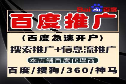 成功SEM代理案例：精准投放的策略